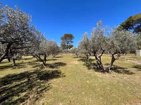 vente terrain 1050 m² à salernes (83690)  134 000 €