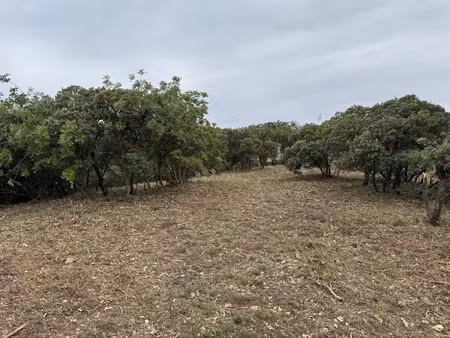 vente terrain 384 m² à villeneuve-les-avignon (30400)  167 900 €