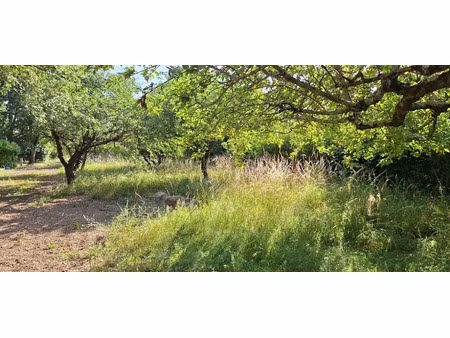 vente terrain 1100 m² à brax (31490)  165 000 €