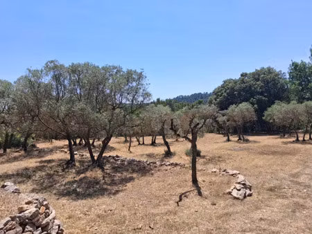 vente terrain 4900 m² à varages (83670)  249 000 €