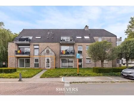 rez-de-chaussée à louer à de hoeven 68 heusden-zolder (rbw36362)