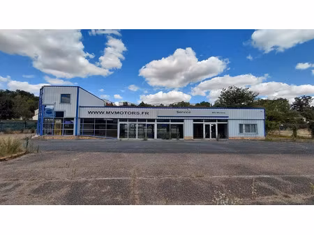 vente locaux professionnels 751 m² à nemours (77140)  1 250 000 €