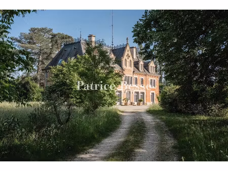 vente château 19 pièces 860 m² à chalon-sur-saone (71100)  745 000 €