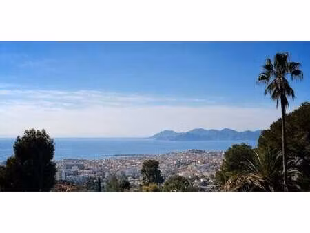 terrain terrefial - cannes (06)