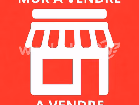 immobilier professionnel à vendre saint-herblain
