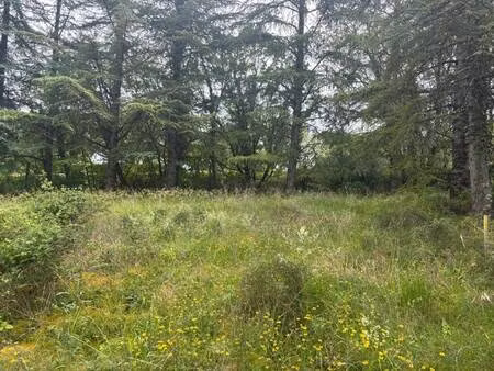 terrain constructible viabilisé à vendre