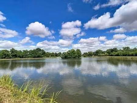 vente terrain à gétigné (44190) : à vendre / 44458m² gétigné