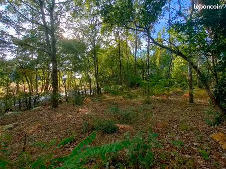 terrain constructible de 1250 m² à 30 mn des plages