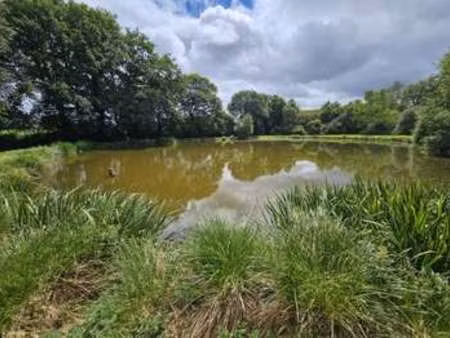 vente terrain à silfiac (56480) : à vendre / silfiac