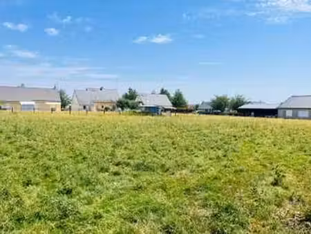 vente terrain à grandparigny (50600) : à vendre / 6500m² grandparigny