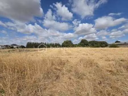 vente terrain à sauzé-vaussais (79190) : à vendre / 8977m² sauzé-vaussais