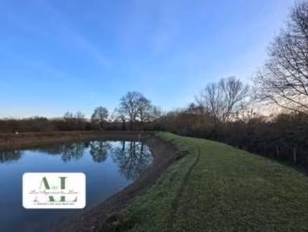 vente terrain à lézigné (49430) : à vendre / 13881m² lézigné