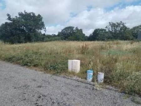 vente terrain à la haie-fouassière (44690) : à vendre / 320m² la haie-fouassière