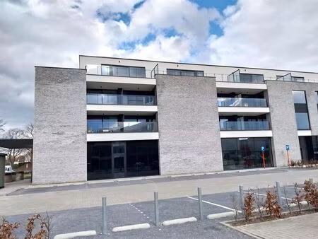 appartement à louer à beverlo € 860 (lpyd8) - optimus vastgoed | zimmo