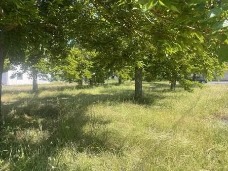 terrain constructible à vendre