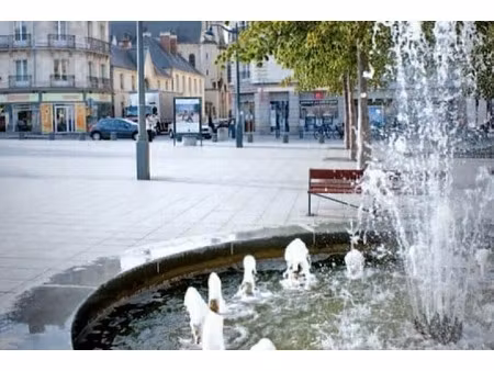 location commerce rennes 35000 54m²