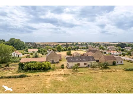 vente maison 10 pièces 195 m² charenton-du-cher (18210)