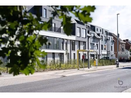 appartement te huur in schilde met 1 slaapkamer