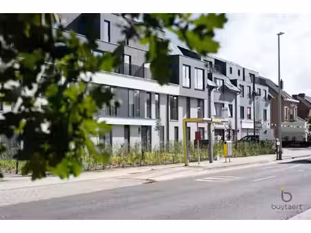 appartement te huur in schilde met 2 slaapkamers