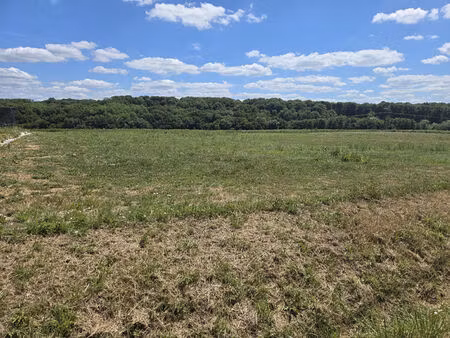 terrain 0 pièces 871 m² à vendre / acheter dampierre 39700 ? | era immobilier