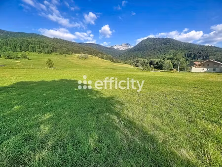 terrain - 16205 m²