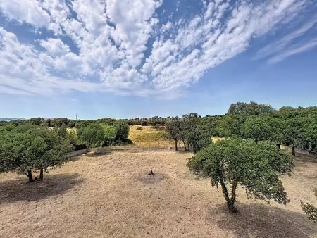 vente maison 5 pièces 103 m2 à lumio