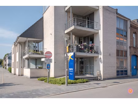 commercieel te koop in puurs-sint-amands