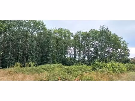terrain à bâtir à ménesplet (24700)