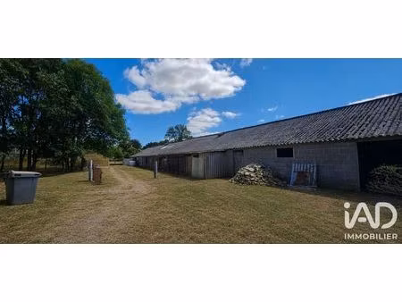 terrain à bais (35680)