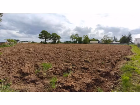 vente terrain 8057 m² le merzer (22200)