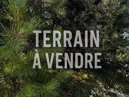 vente terrain 340 m² saint-georges-d’oléron (17190)