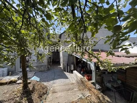 vallee de baretous - charmante maison avec dependances et jardin - ideale pour projet de..