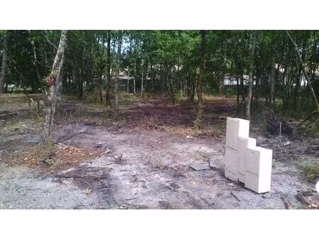 vente terrain 673 m² labouheyre (40210)