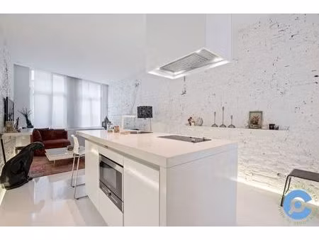 immeuble de rapport à vendre à leeuwenstraat 6 anvers (rbw36504)