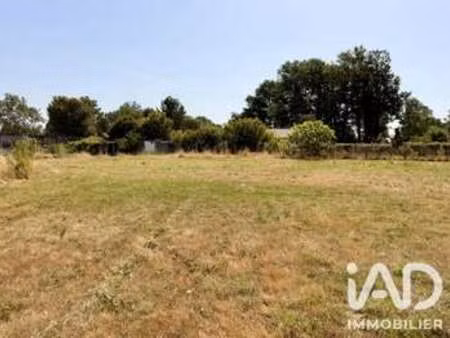 vente terrain à vouvant (85120) : à vendre / 700m² vouvant