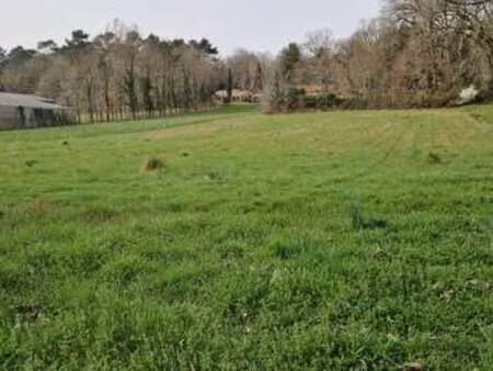 vente terrain à beauronne (24400) : à vendre / 4525m² beauronne