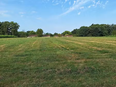 vente terrain 7116 m² à créon (33670)  25 000 €