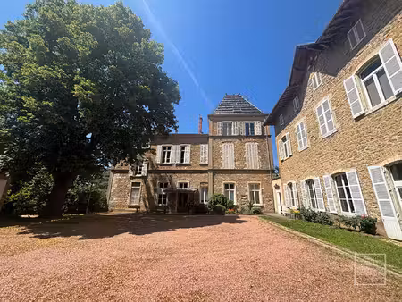 chasselay - maison appartement 9 pièces de 231 m² avec terrain privatif attenant