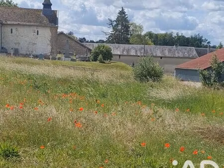 terrain à saint-martin-l’heureux (51490)