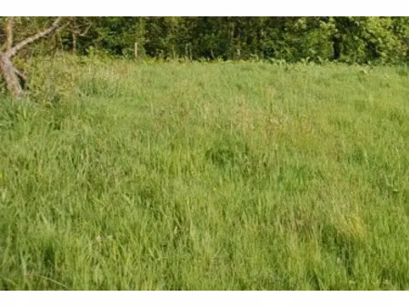 vente terrain 391 m² fécamp (76400)
