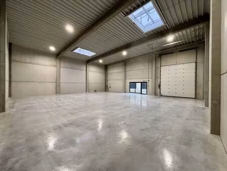 unité pme (295 m²) à louer à saint-trond