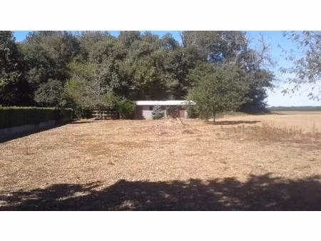 terrain constructible à vendre
