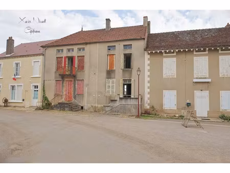vente maison 10 pièces 240 m² saint-gilles (71510)