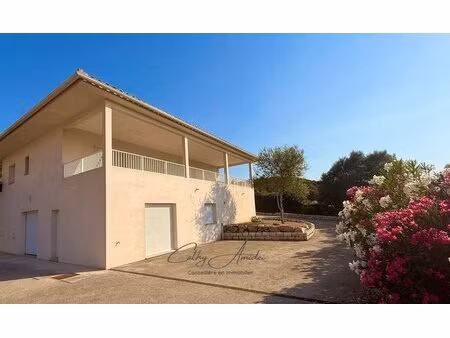 viggianello (corse) : villa type t3 + appartement t2  grande terrasse  garage fermé et...