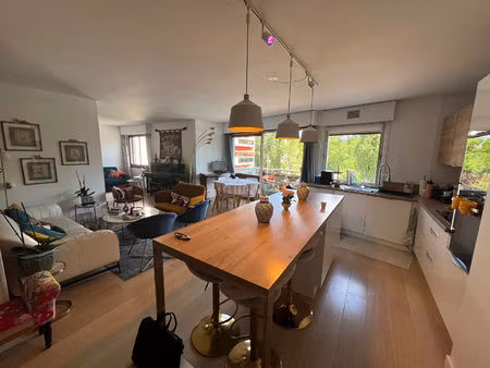 appartement meublé palaiseau 5 pièces 100m2