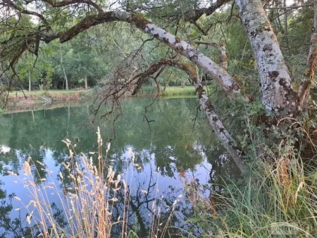 vente terrain 20542 m² à le tranger (36700)  21 400 €
