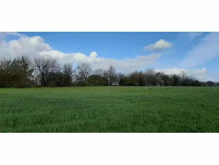 vente terrain 395 m² à coulans-sur-gée (72550)  41 500 €