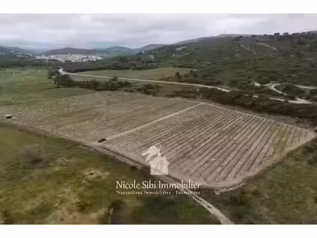 vente terrain 24776 m² à latour-de-france (66720)  31 500 €