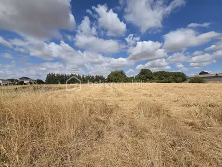 vente terrain 8977 m² à sauzé-entre-bois (79190)  48 800 €
