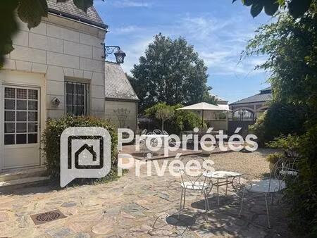 a vendre langeais 37130 maison et chambres d'hôtes langeais 14 pièces 420 m2